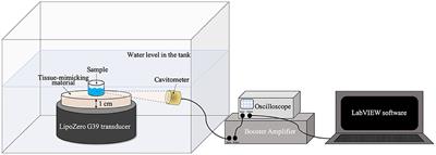 The Synergistic Effect of Nanocrystals Combined With Ultrasound in the Generation of Reactive Oxygen Species for Biomedical Applications